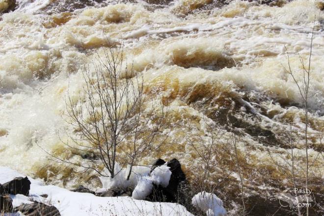 Photos by Melody Provost Holmes