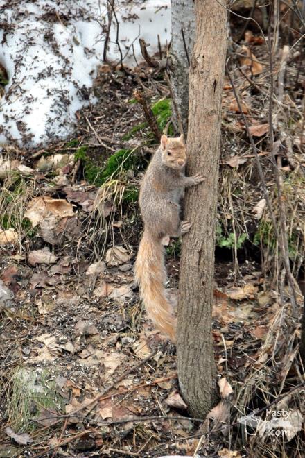 Photo by Bob Gilreath