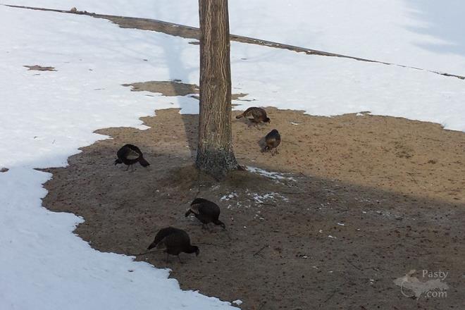 Photo by Sally Beaudette