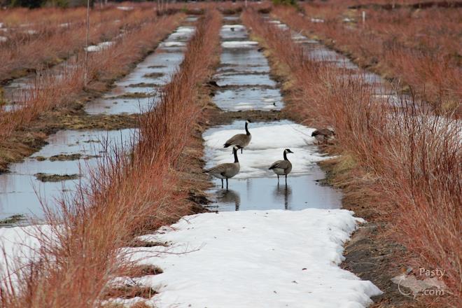 Photos by Barb Bouwkamp