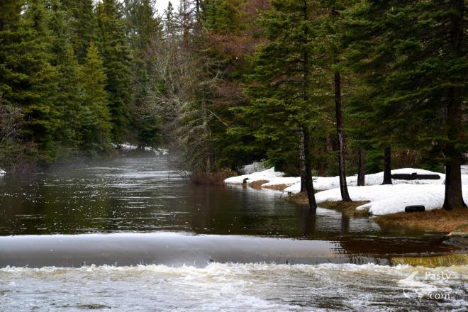 Photos by Judy Byykkonen