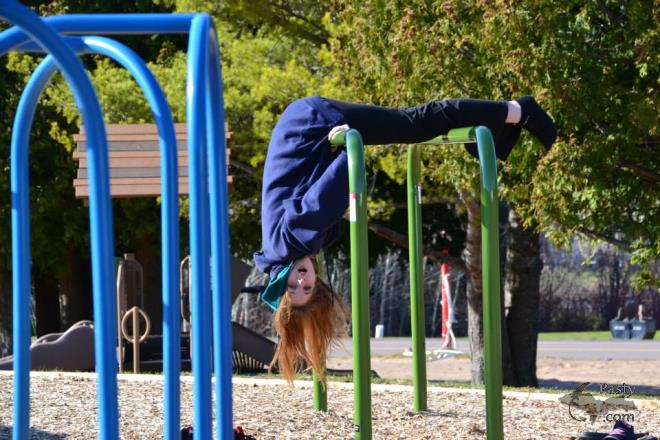 Photos by Judy Byykkonen