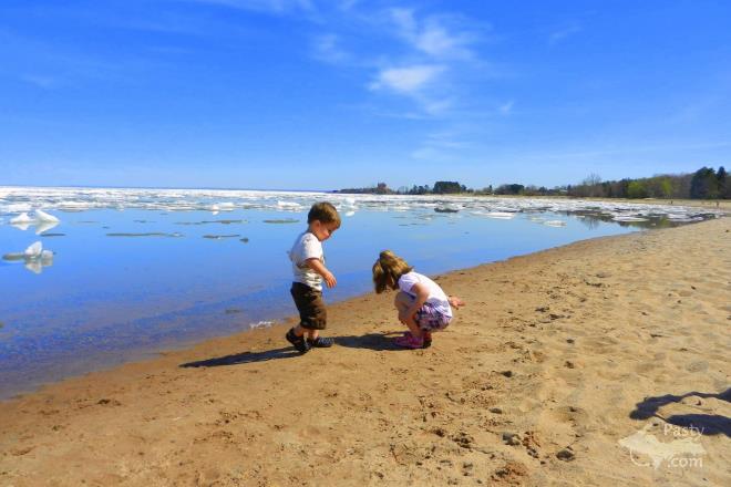 Photo by Laurie Bashaw