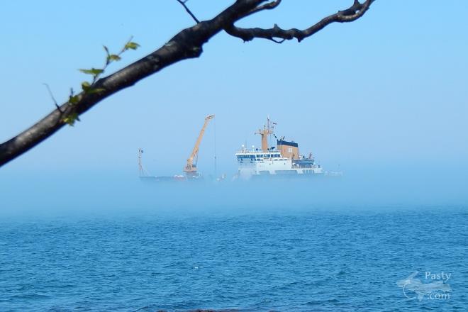 Photo by Henry Sakari