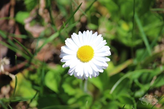 Photos by Barb Bouwkamp