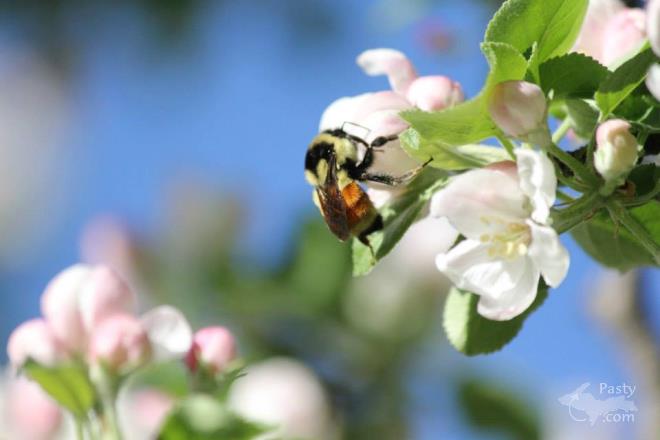 Photos by Melanie Hakala Rossi