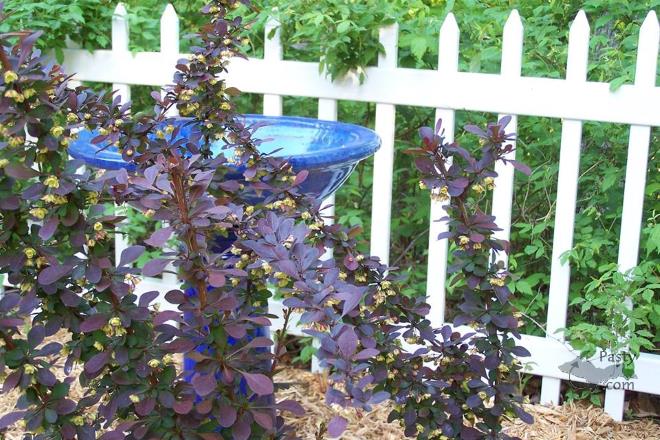 Photos by Brenda Leigh