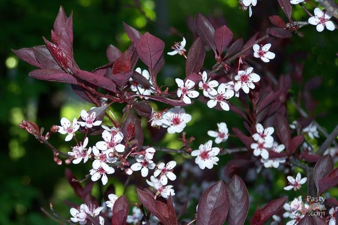 Photos by Brenda Leigh