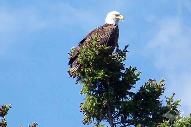 Photos by Marsha Galbraith