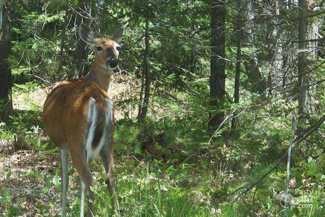 Photos by Marsha Galbraith