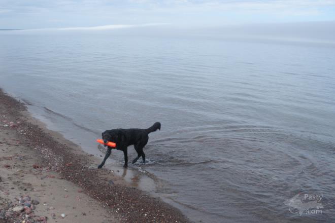 Photos by Robert Schwarzkopf