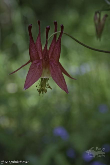 Photos by Philip Odum