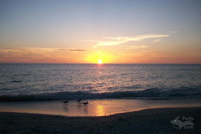 Photo by Brenda Leigh