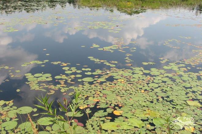 Photos by Kelly Sullivan