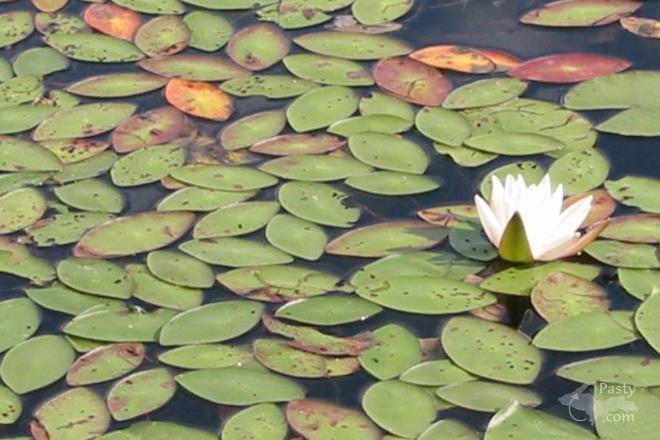 Photos by Kelly Sullivan