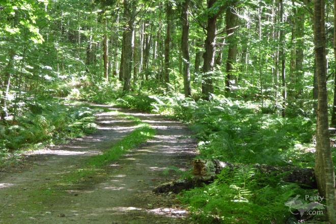 Photos by Marilynn Bachorik