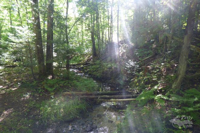 Photos by Marilynn Bachorik