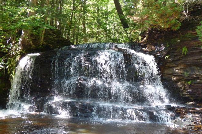 Photos by Marilynn Bachorik