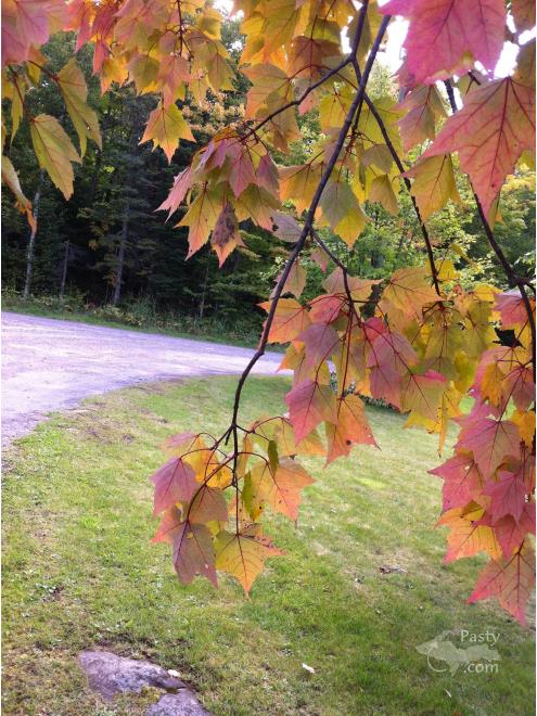 Photos by Beth Jukuri