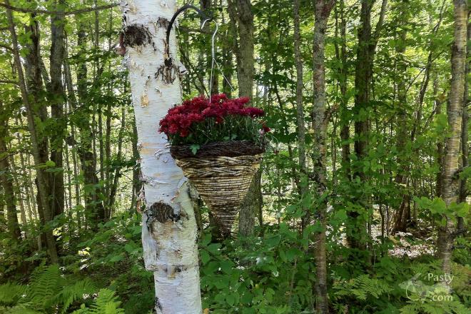 Photos by Beth Jukuri