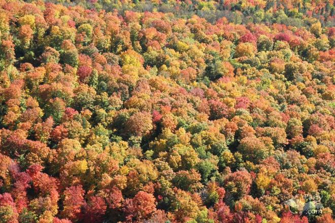 Photos by E. Neil Harri