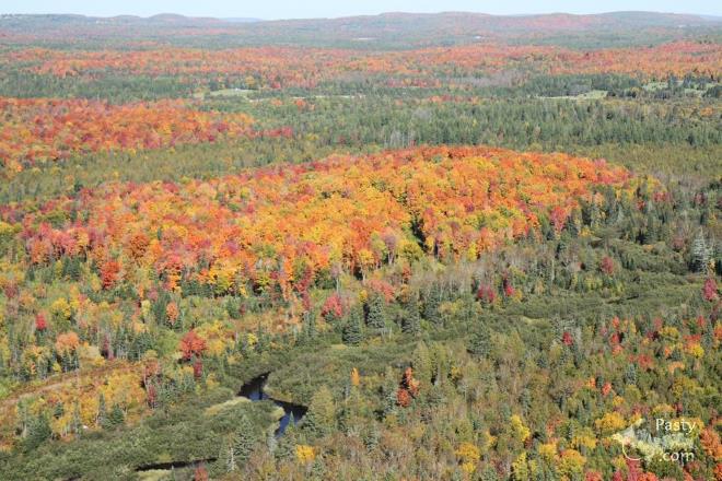 Photos by E. Neil Harri