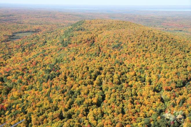 Photos by E. Neil Harri