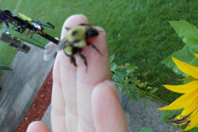 Photos by Donna MacIntosh