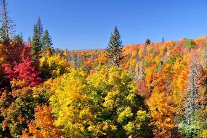 Photos by Bob Gilreath