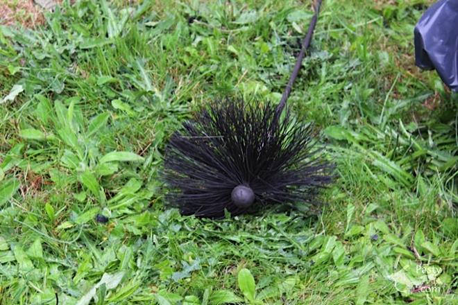 Photos by Barb Bouwkamp