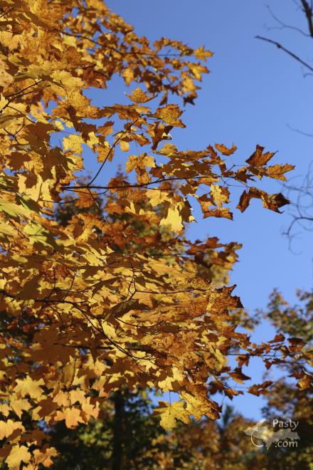 Photos by George Hoyem