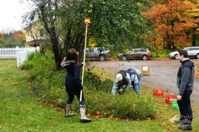 Photos by Jack Marta