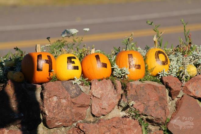 Photos by Melanie Hakala Rossi